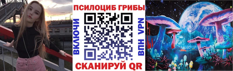 Галлюциногенные грибы Cubensis  Купить где  Мензелинск 